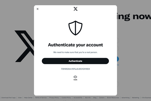 Verify Authenticate Your X Account